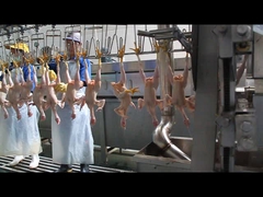 Ein geformter Pflücker