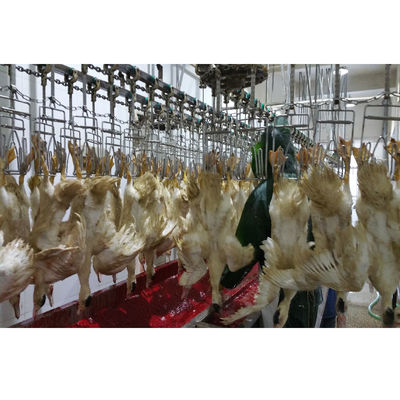 Profi-Schlachtgerät für Broiler und Geflügel