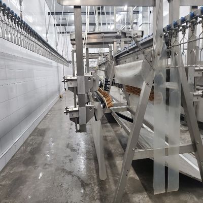 Automatische Schlachtmaschine für Geflügel 500-1000 BPH