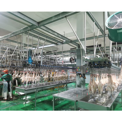 62*66*99CM Hühnerschlachtmaschine zur Verarbeitung von Schmelzwasser in Südafrika