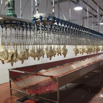 500BPH - 1000BPH Automatische Schlachtmaschine Geflügel-Hühnerschlachtgeräte