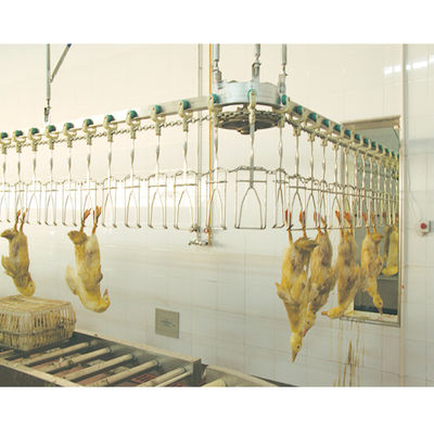 Automatische Halal-Geflügelschlachtgeräte für den Hühnerpflückprozess