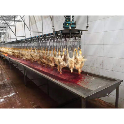 Auto-Halal Hühnerschlachtmaschine Hochproduktivitätsschlachtmaschine für Hühner
