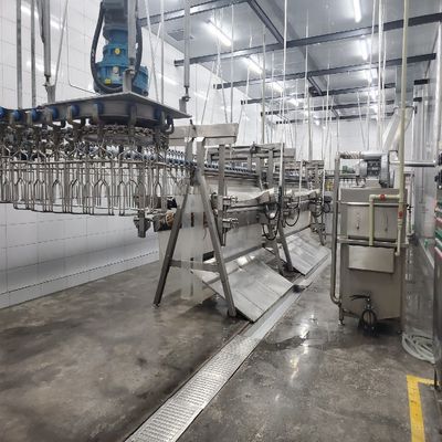 Hühnerschlachtmaschine mit Vor- oder Online-Installation und Edelstahl 304