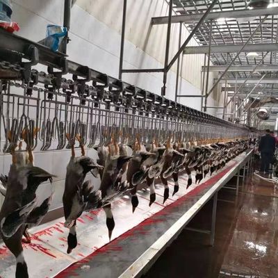 CE-zertifizierte Geflügelschlachtgeräte Ente Geflügelschlachtlinie 600 kg