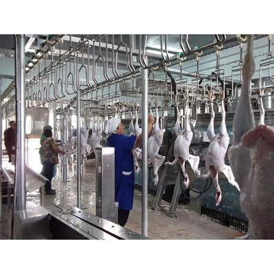304 Edelstahl Hühnerschlachtgerät mit 380V Spannung und einfacher Wartung