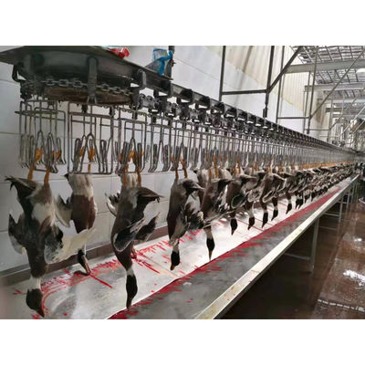 Hochleistungs-Fleischschlachtmaschine Halal Hühnerschlachtmaschine 1000BPH