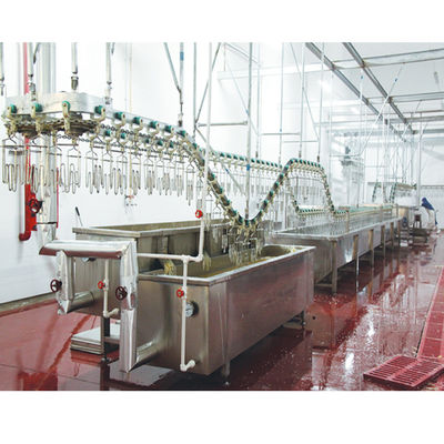 Höchstproduktive Geflügelschlachtgeräte 220V / 380V für Ente 200 - 12000BPH