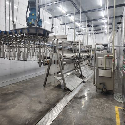 6000 bph Hühnerschlachtlinie Schlachthof zur Verbesserung der Produktivität
