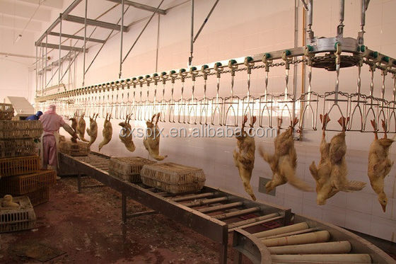 Huhn Duck Goose Processing Line Slaughter bearbeiten 304 Edelstahl 220V maschinell