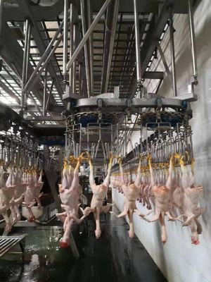 Dauerhafte Hühnerschlachtmaschine Automatische Schlachtmaschine TUV genehmigt