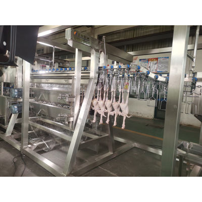 200BPH 300BPH 500BPH Automatische Abtötung Gänse Enten Hühner Schlachthof Schlachter Verarbeitungslinie Maschinensystem