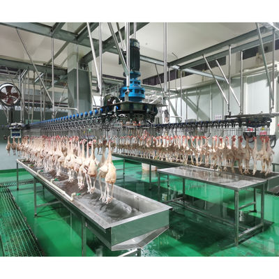 1000-2000BPH Automatische Hühnerschlachtmaschine für Geflügelschlachtheime