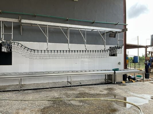 Halal-zertifizierte, hocheffiziente, schlüsselfertige Geflügelschlachtlinie für 1000 Vögel pro Stunde